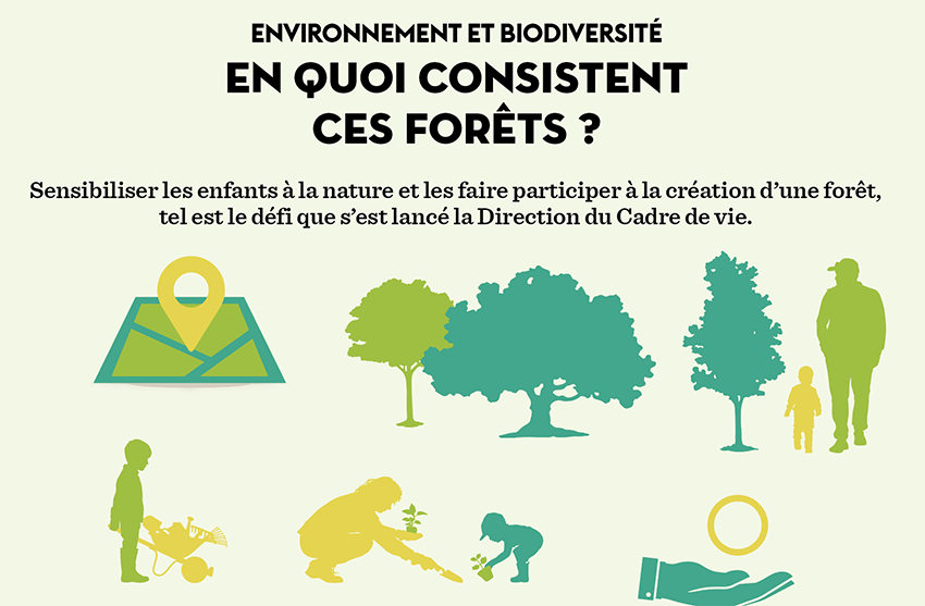 Environnement et biodiversité : en quoi consistent ces forêts ?