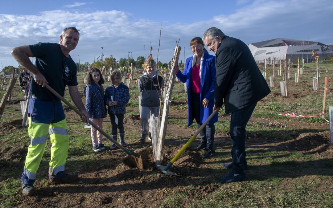 Photo du maire de Nîmes avec des enfants et un agent de la ville entrain de planter un arbre dans la foret des enfants à Nîmes Courbessac