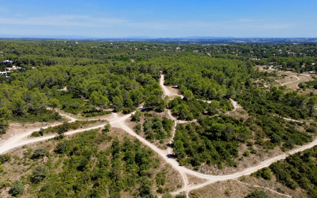 Environnement : la Ville de Nîmes récompensée pour sa gestion vertueuse des espaces verts