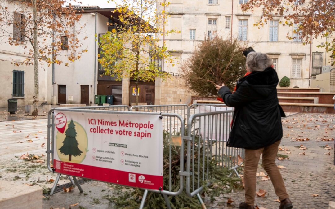 A Nîmes, 50 points de collecte pour déposer votre sapin de Noël