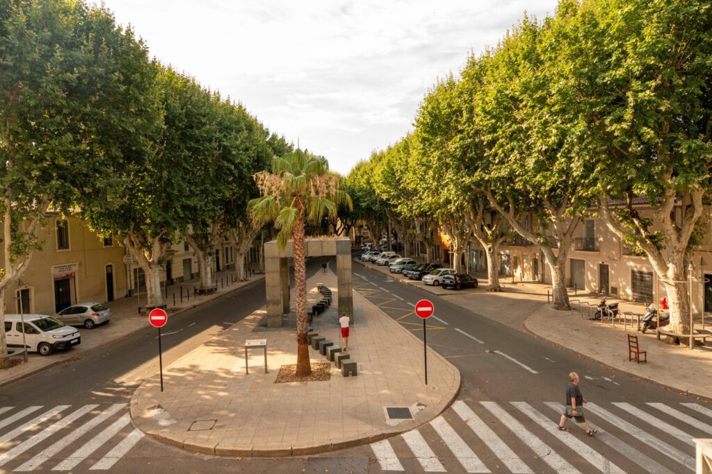 palmier avenue Carnot