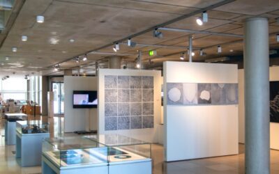 « Méandres », la nouvelle exposition de la Bibliothèque Carré d’art à Nîmes